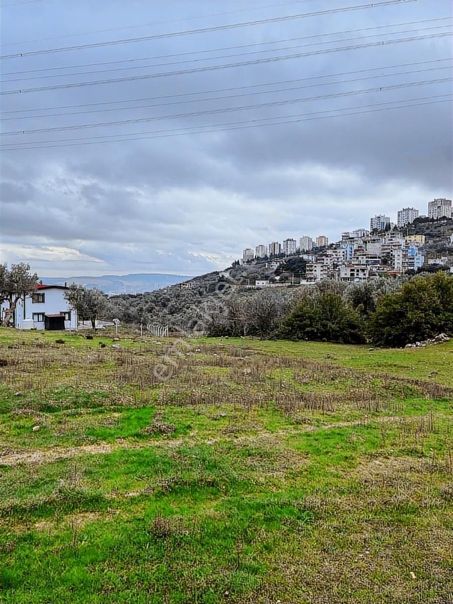 Bornova Egridere Mah Satılık 525 Mt - Görsel 7