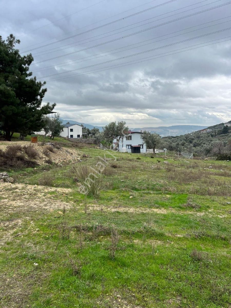 Bornova Egridere Mah Satılık 525 Mt - Görsel 9