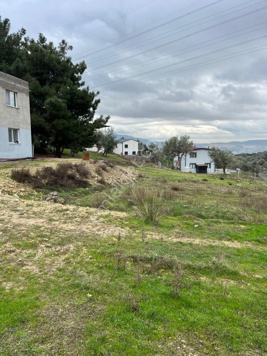 Bornova Egridere Mah Satılık 525 Mt - Görsel 6