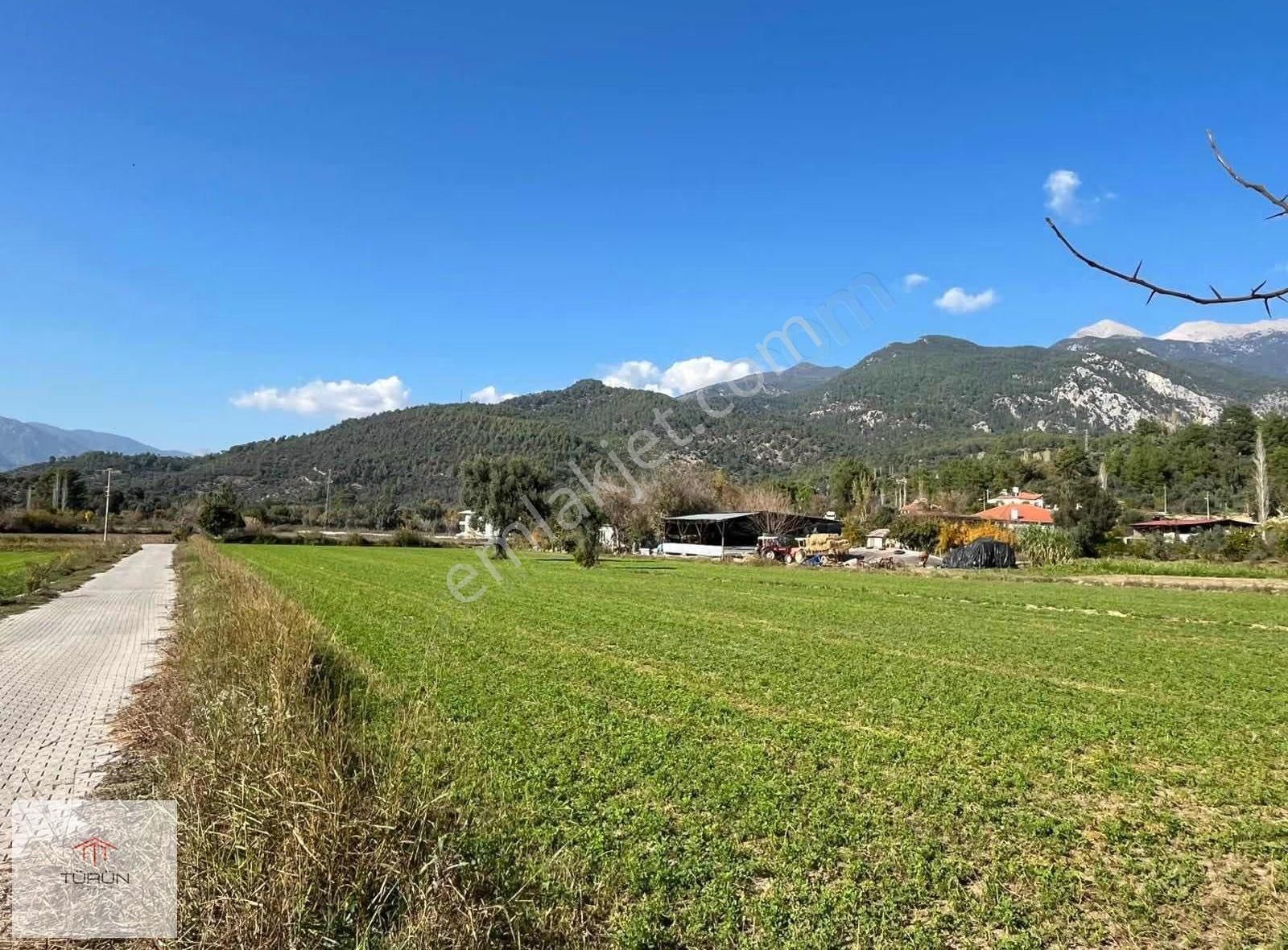 Seydıkemer Ören'de Yola Cepheli Yatırımlık 5000 M2 Satılık - Görsel 4