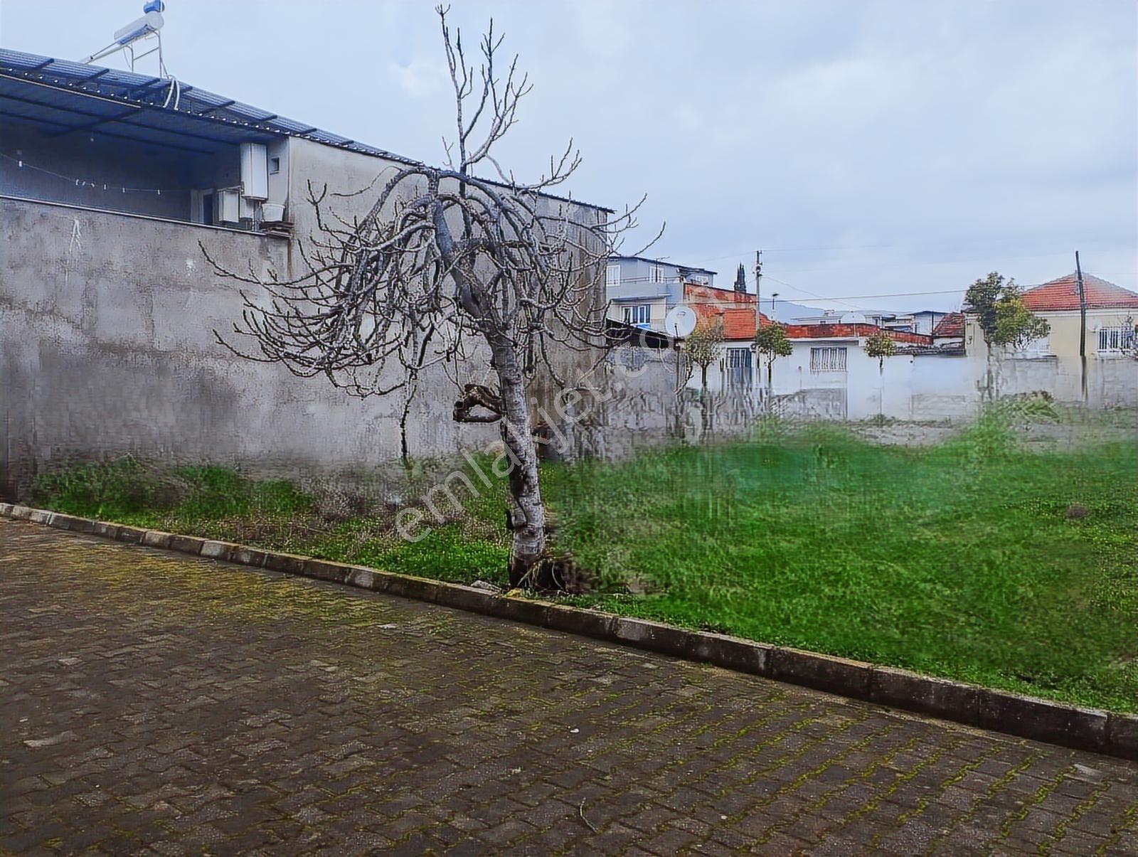Aydın Germencik Ortaklar Mahallesinde Satılık 243 M2 Arsa - Görsel 3