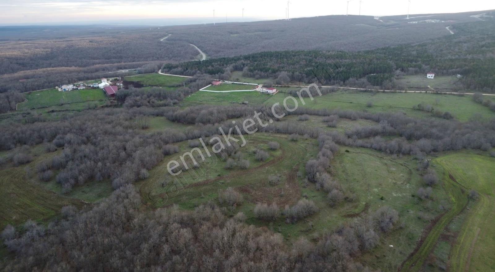 Vize Kömürköy'de Satılık 6.835 M2 Tarla - Görsel 25