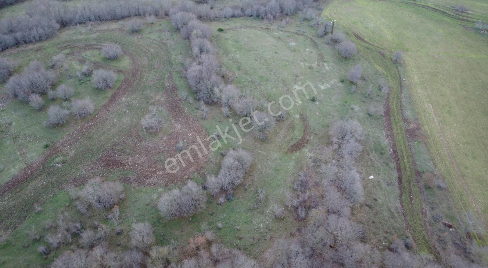 Vize Kömürköy'de Satılık 6.835 M2 Tarla - Görsel 10