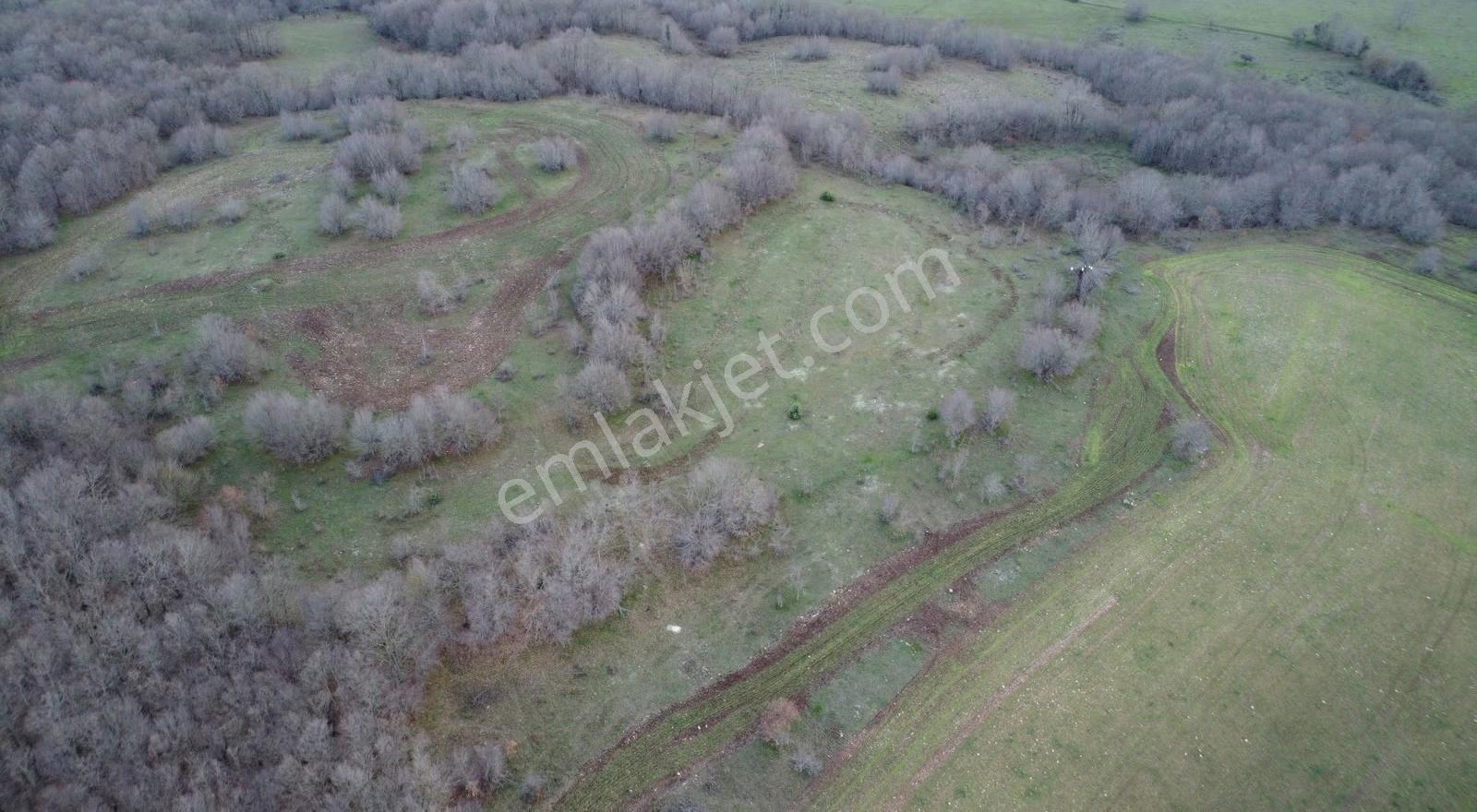 Vize Kömürköy'de Satılık 6.835 M2 Tarla - Görsel 27