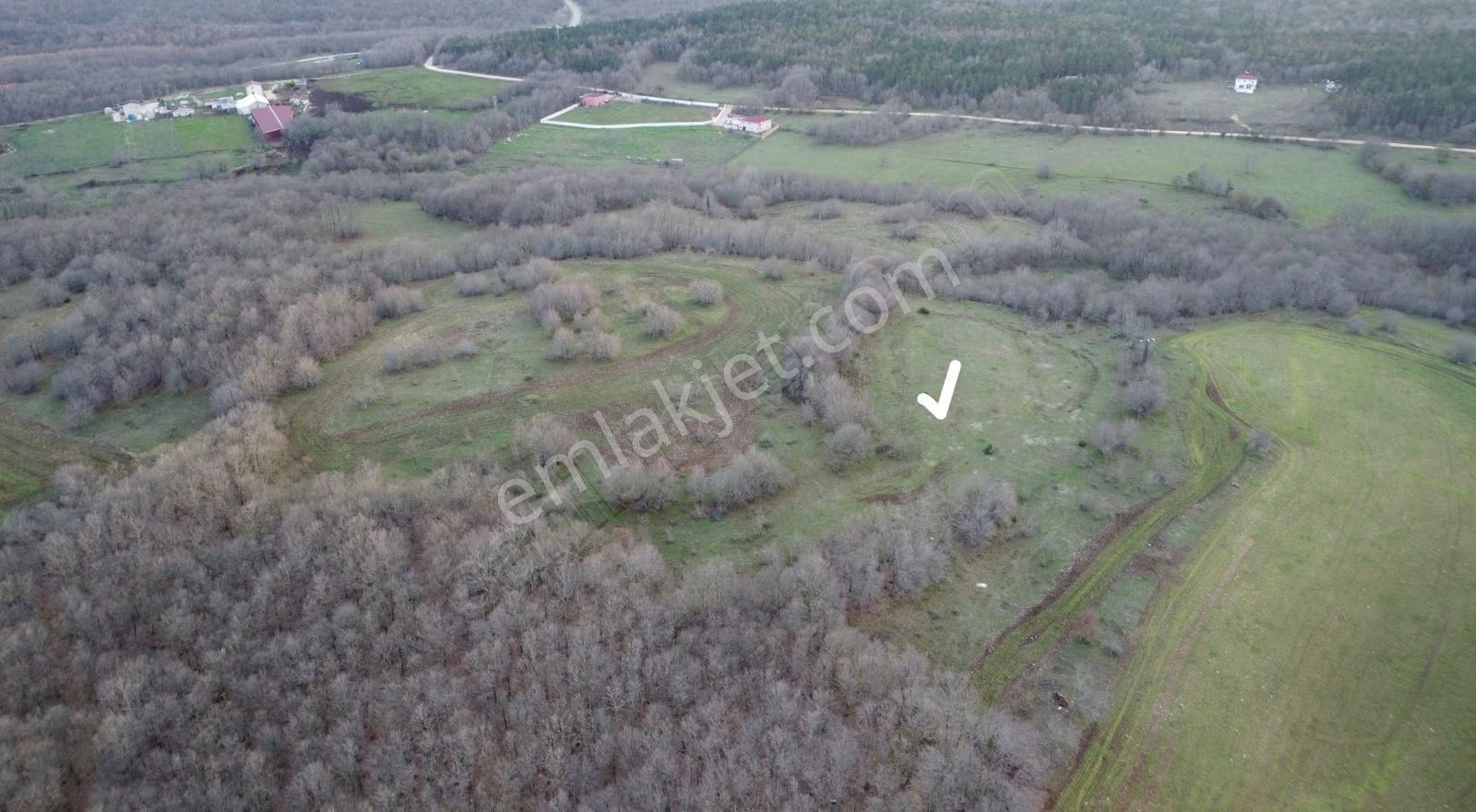 Vize Kömürköy'de Satılık 6.835 M2 Tarla - Görsel 11