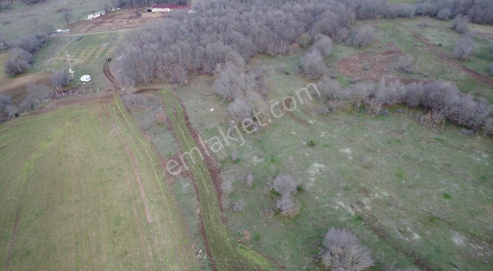 Vize Kömürköy'de Satılık 6.835 M2 Tarla - Görsel 15
