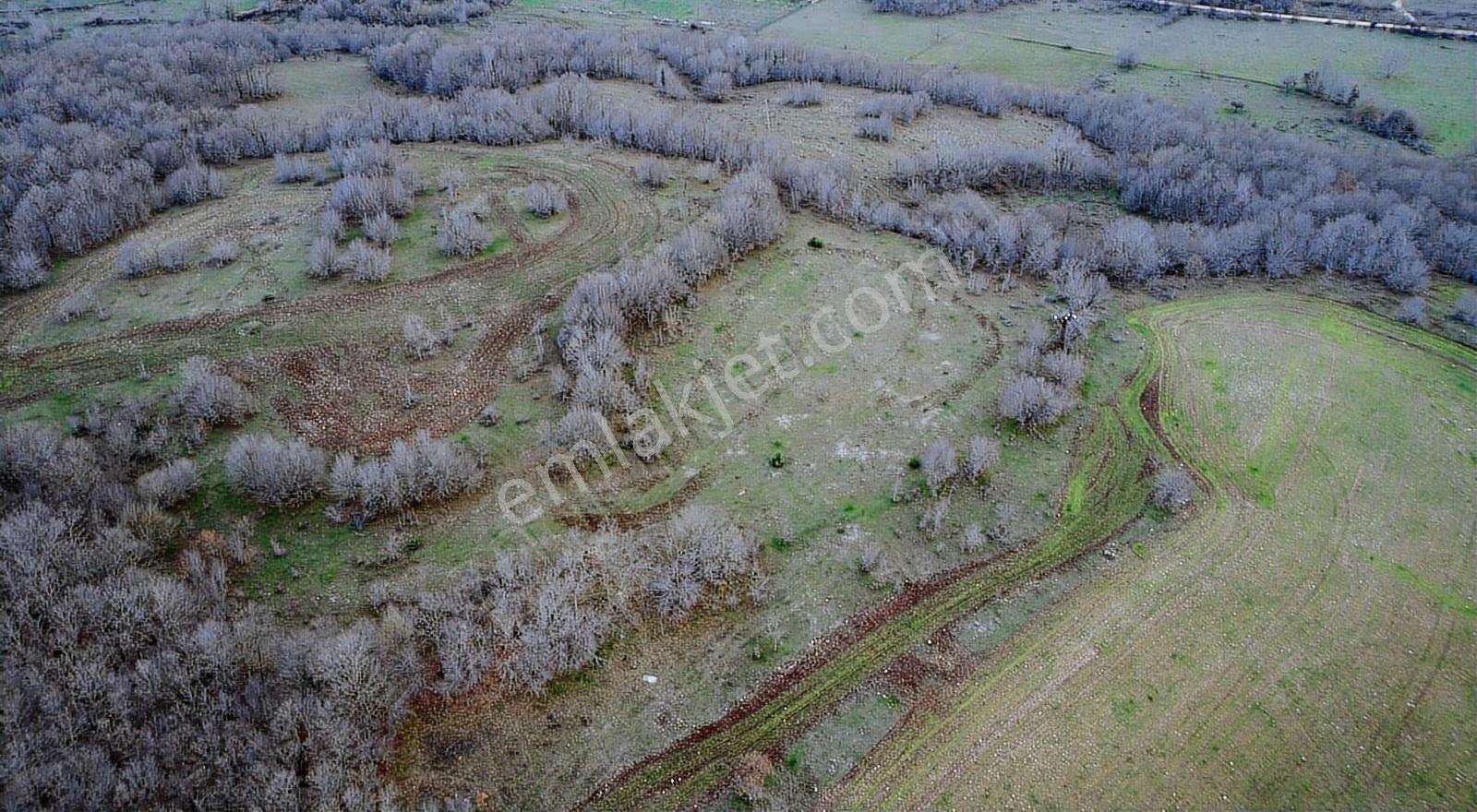 Vize Kömürköy'de Satılık 6.835 M2 Tarla - Görsel 2