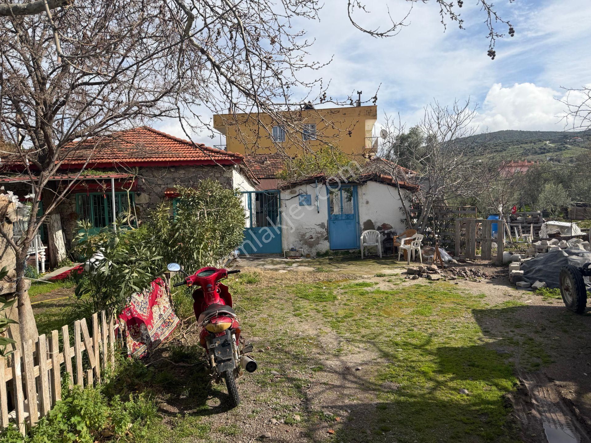 Dikili Ümmetoğlun'ndan 2+1 Bahçeli Müstakil Köy Evi' Eşyalı 100 M2 Bademli - Görsel 3