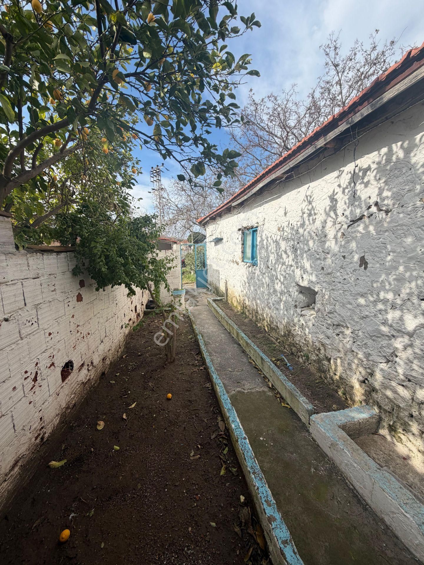 Dikili Ümmetoğlun'ndan 2+1 Bahçeli Müstakil Köy Evi' Eşyalı 100 M2 Bademli - Görsel 2