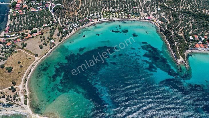 Dikili Ümmetoğlun'ndan 2+1 Bahçeli Müstakil Köy Evi' Eşyalı 100 M2 Bademli - Görsel 4