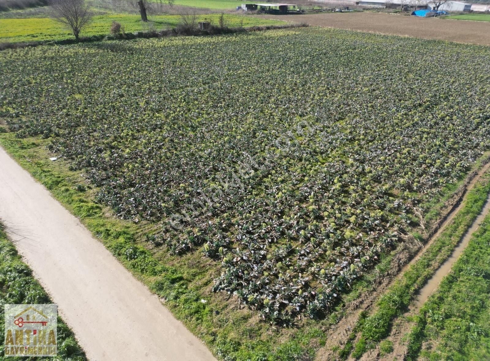 Antika Gayrimenkulden Çatalarmut Mevkiiye Yakın Satılık Tarlalar - Görsel 7