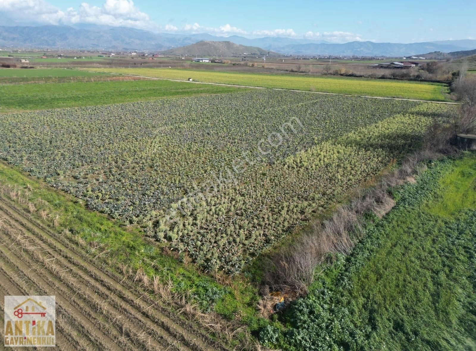 Antika Gayrimenkulden Çatalarmut Mevkiiye Yakın Satılık Tarlalar - Görsel 6