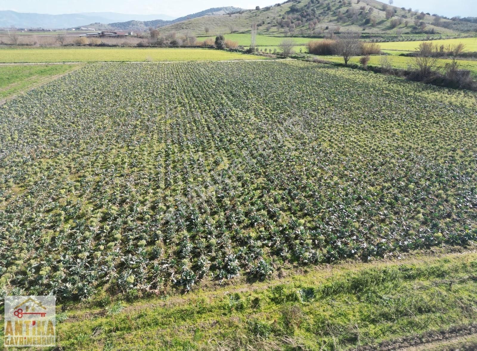Antika Gayrimenkulden Çatalarmut Mevkiiye Yakın Satılık Tarlalar - Görsel 5