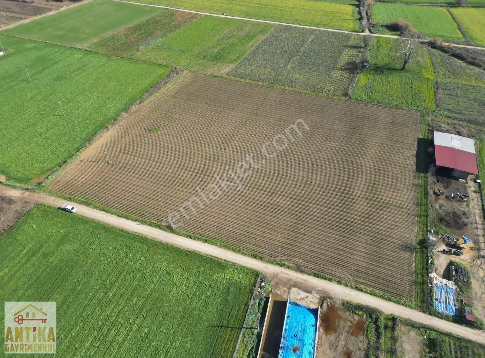 Antika Gayrimenkulden Çatalarmut Mevkiiye Yakın Satılık Tarlalar - Görsel 15