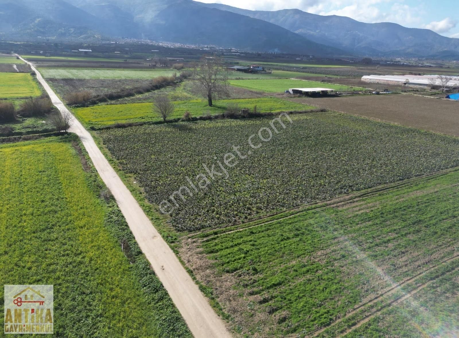 Antika Gayrimenkulden Çatalarmut Mevkiiye Yakın Satılık Tarlalar - Görsel 11