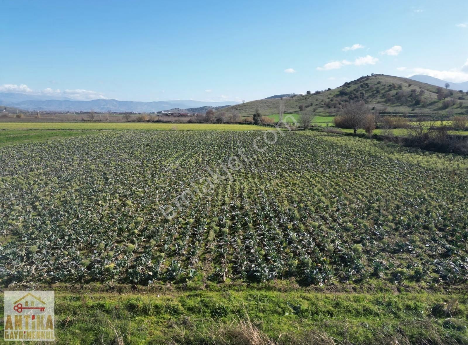 Antika Gayrimenkulden Çatalarmut Mevkiiye Yakın Satılık Tarlalar - Görsel 17