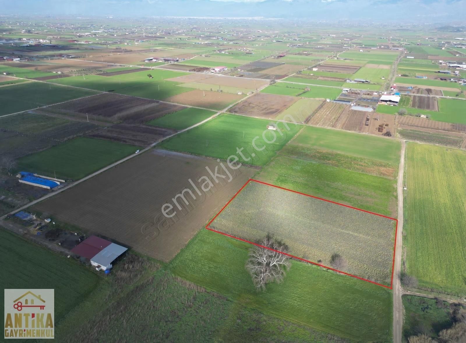 Antika Gayrimenkulden Çatalarmut Mevkiiye Yakın Satılık Tarlalar - Görsel 13