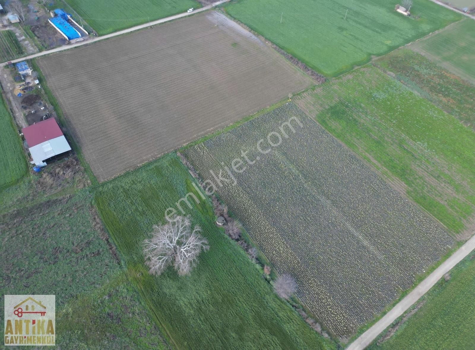 Antika Gayrimenkulden Çatalarmut Mevkiiye Yakın Satılık Tarlalar - Görsel 14