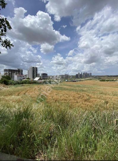 Fuar Alanın Dibinde Beyzade Kebap Yakınında 4416ada 7parel 180m2 Kabasakal Ve Diğer Arsalar