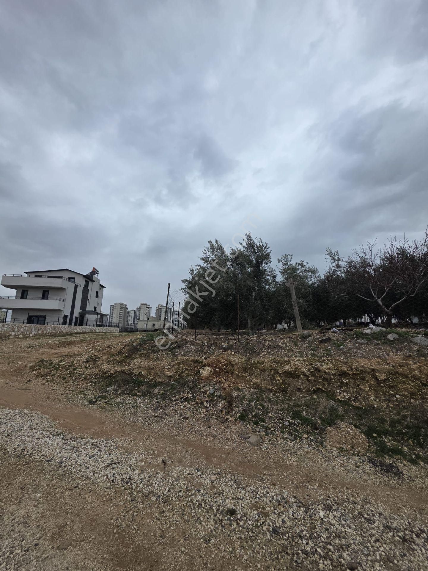 Lokasyon Şampiyonu Çarkıparede Villa Yapımına Uygun 574 M2 Arsa - Görsel 2