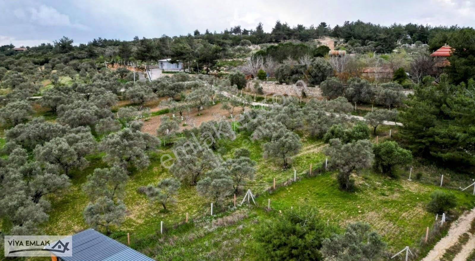 Torbalı Çapakta Satılık 625 M2 Merkezi Konumda Mirastan Bölme - Görsel 5