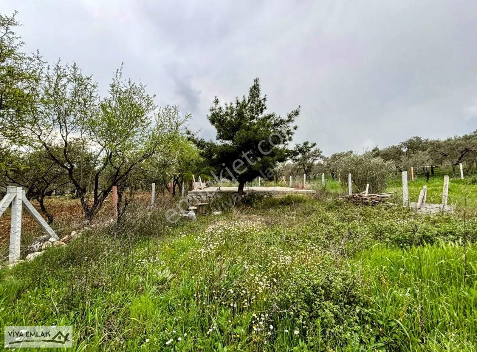 Torbalı Çapakta Satılık 625 M2 Merkezi Konumda Mirastan Bölme - Görsel 8