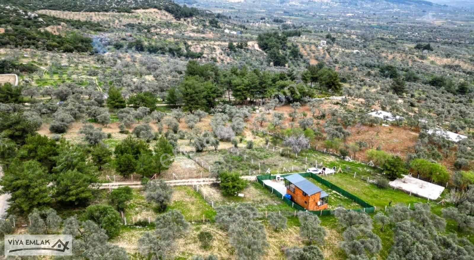 Torbalı Çapakta Satılık 625 M2 Merkezi Konumda Mirastan Bölme - Görsel 16