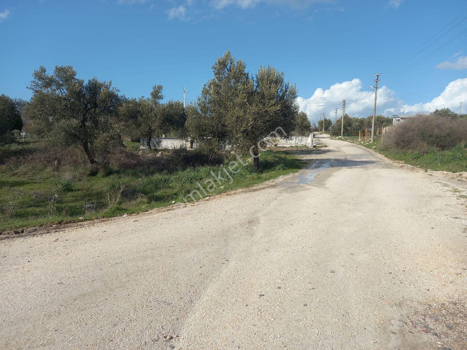İzmir Dikili Çandarlı Mah Müstakil Tek Tapu Satılık Arsa - Görsel 23