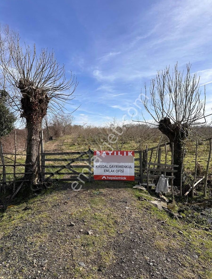 Kasdal Satıyor Akçatarla Satılık Tarla