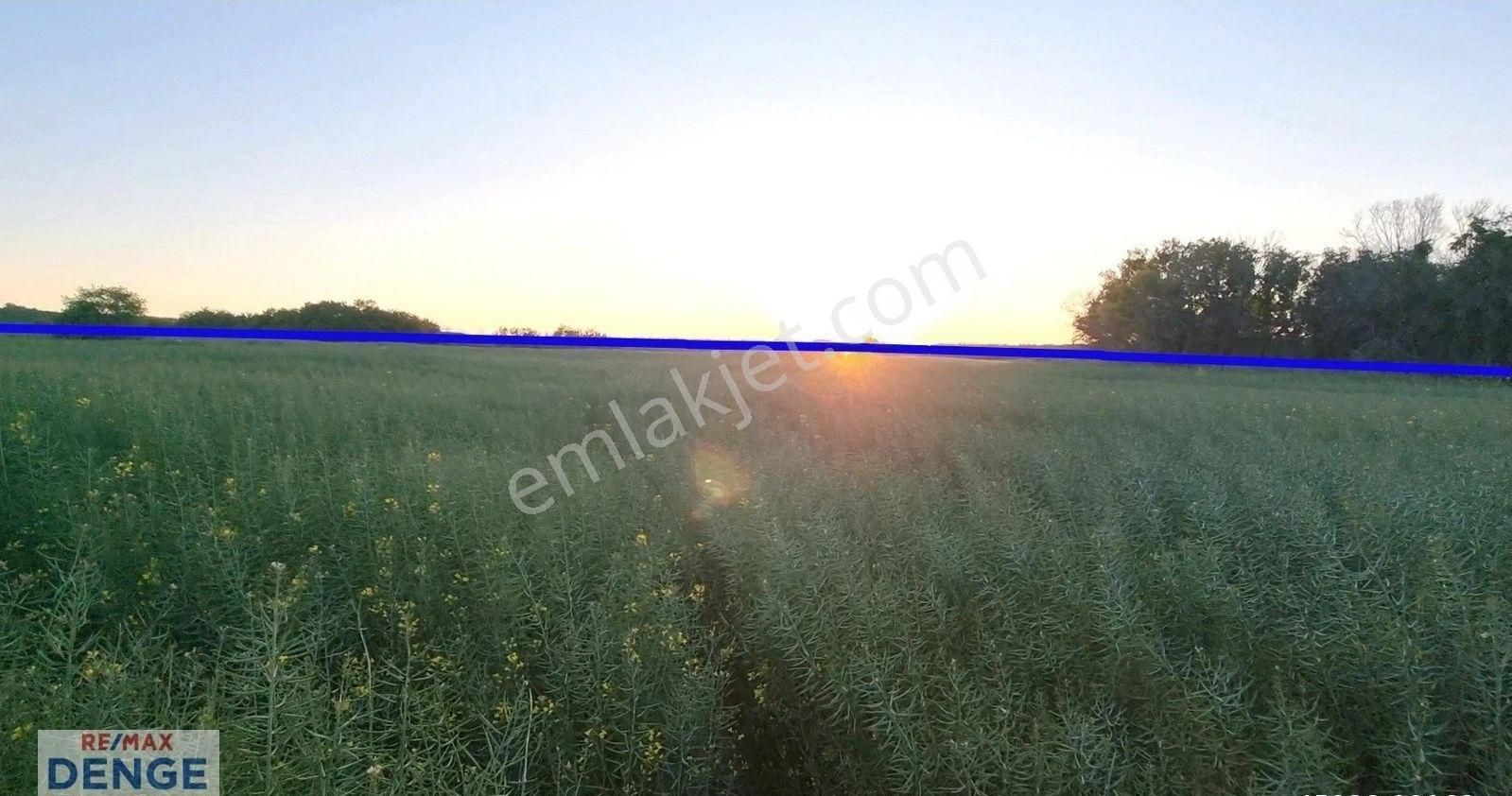 Silivri Büyüksinekli'de Hesaplı Fiyata Satılık Müstakil Arazi - Görsel 14