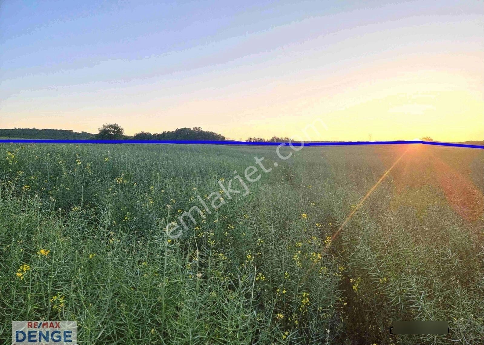 Silivri Büyüksinekli'de Hesaplı Fiyata Satılık Müstakil Arazi - Görsel 9