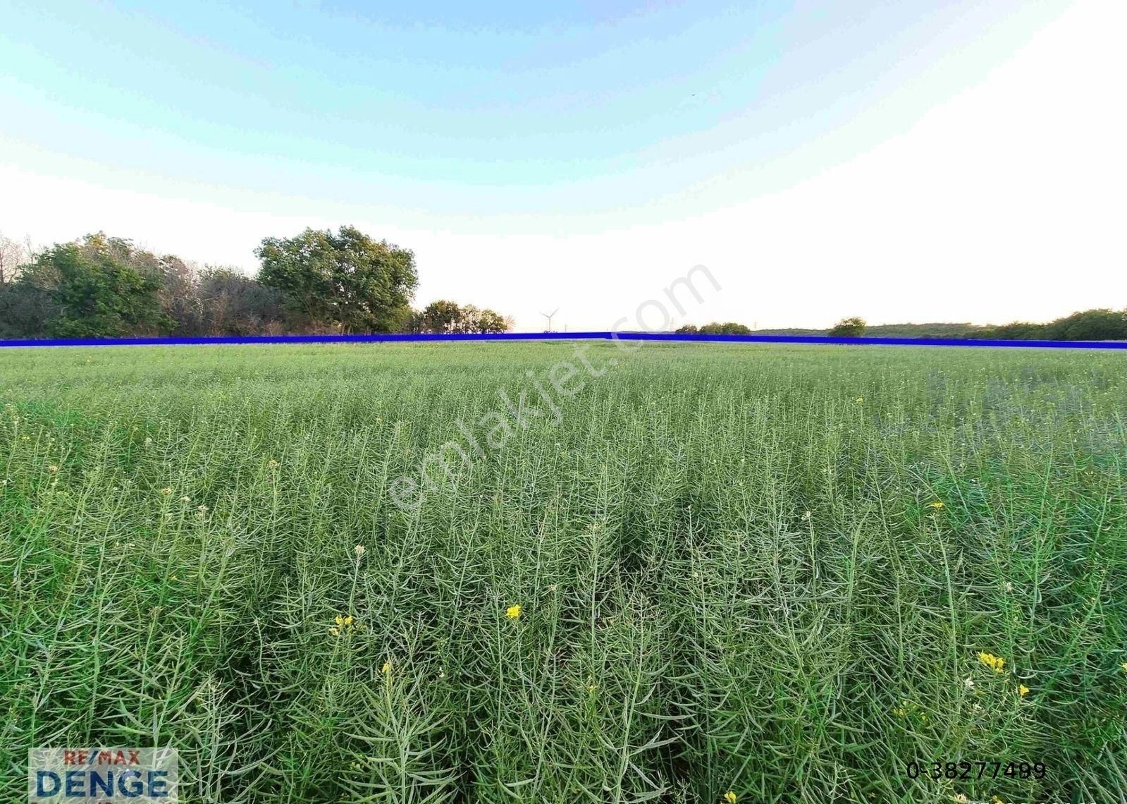 Silivri Büyüksinekli'de Hesaplı Fiyata Satılık Müstakil Arazi - Görsel 11