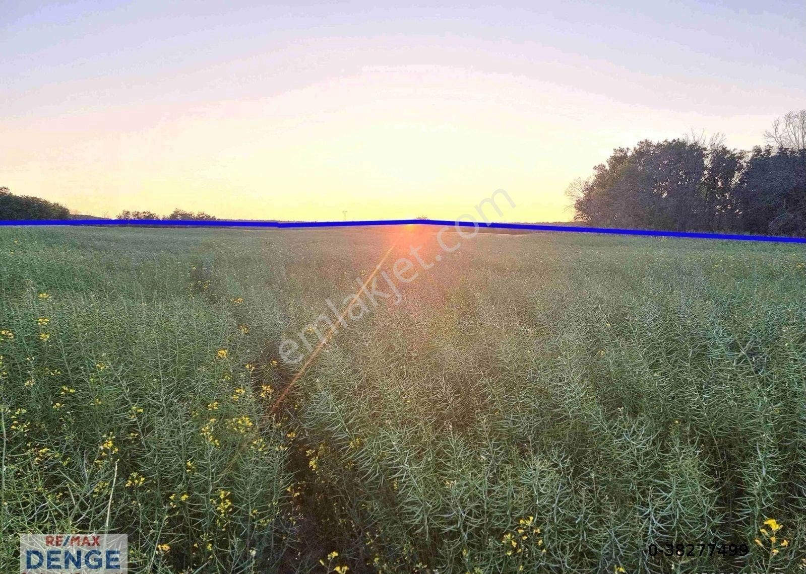 Silivri Büyüksinekli'de Hesaplı Fiyata Satılık Müstakil Arazi - Görsel 12