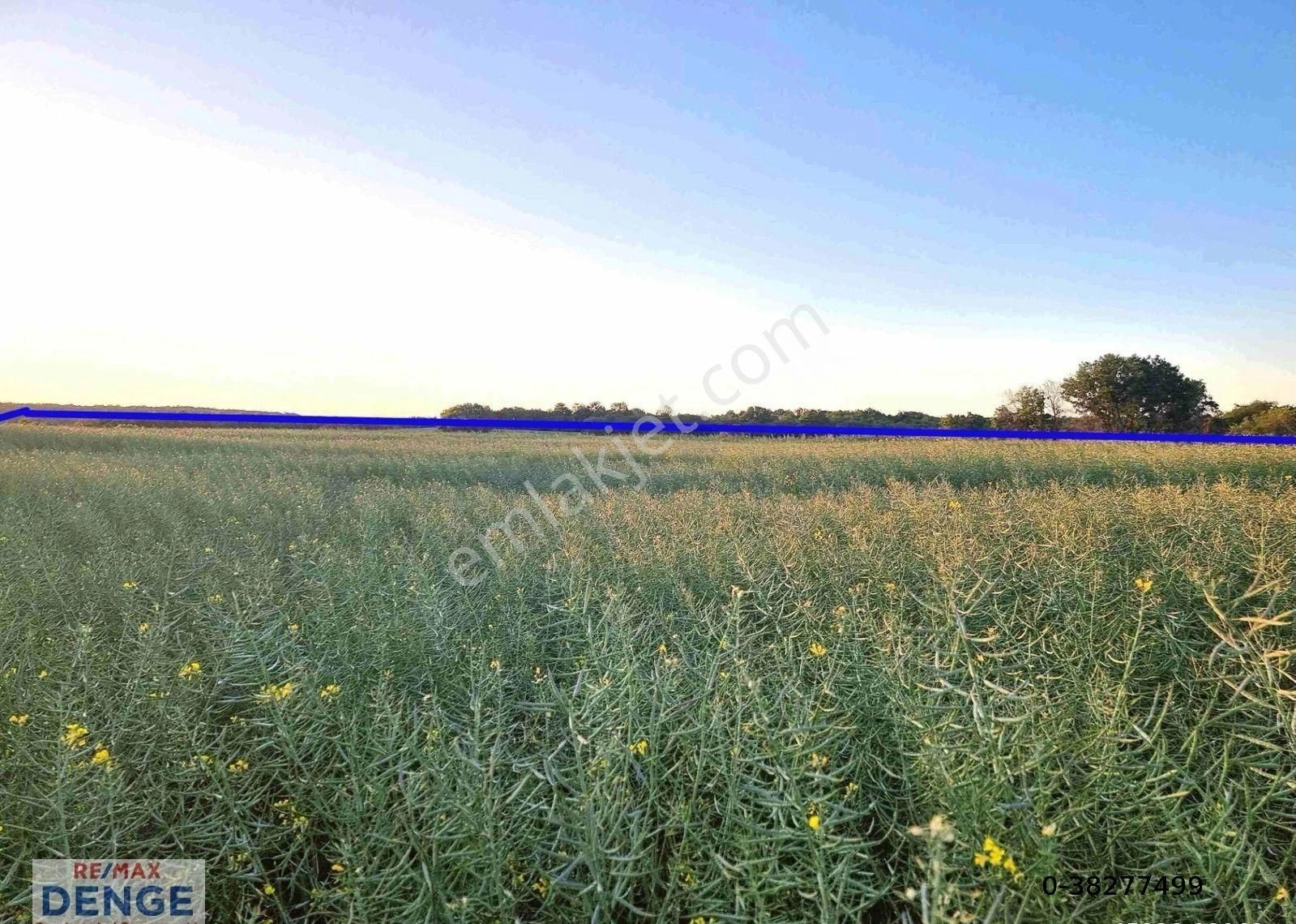 Silivri Büyüksinekli'de Hesaplı Fiyata Satılık Müstakil Arazi - Görsel 8
