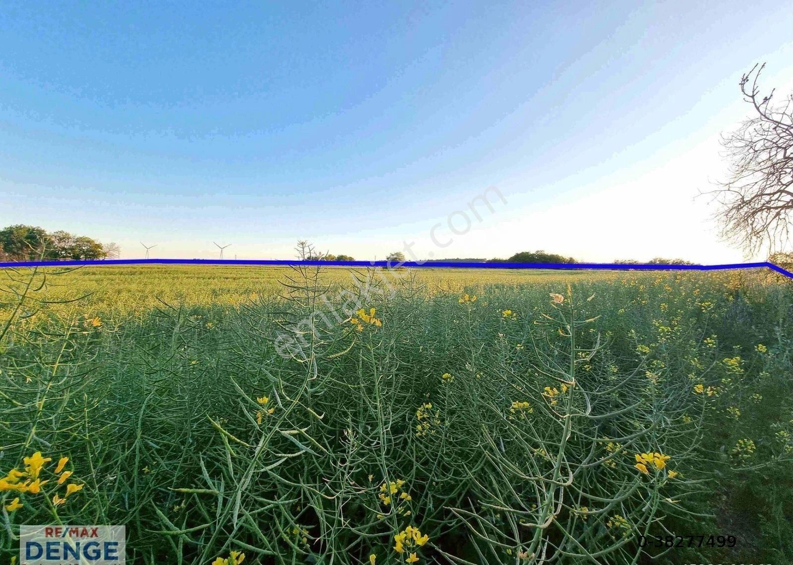 Silivri Büyüksinekli'de Hesaplı Fiyata Satılık Müstakil Arazi - Görsel 13