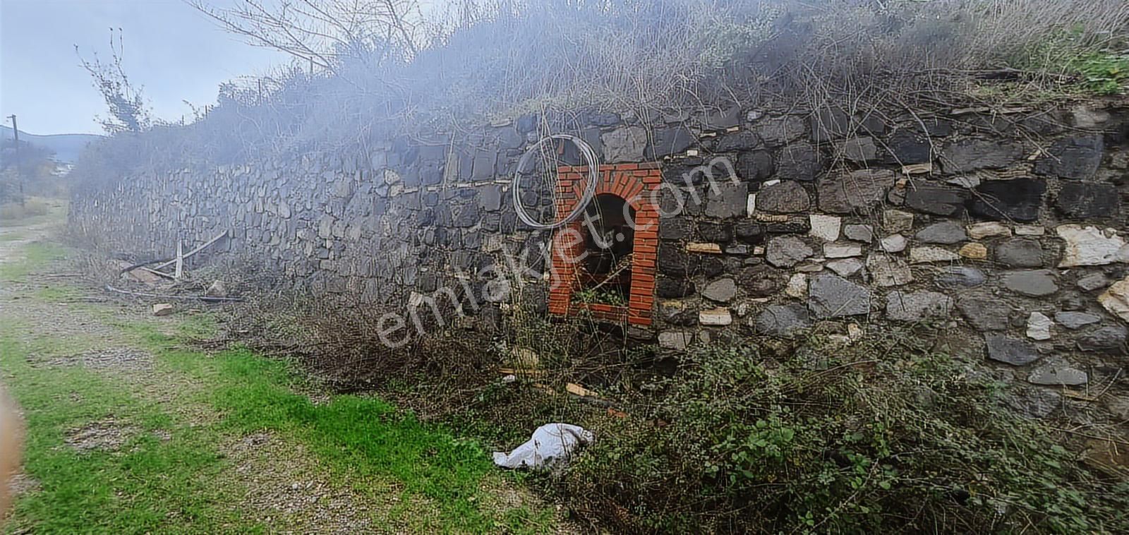 Söke Ağaçlıda 50 Dönüm Bakımlı Zeytinlik Damla Sulamalı - Görsel 8