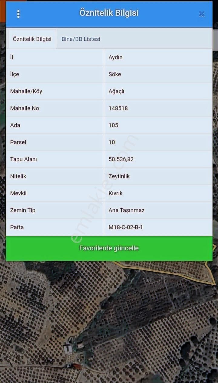 Söke Ağaçlıda 50 Dönüm Bakımlı Zeytinlik Damla Sulamalı - Görsel 10