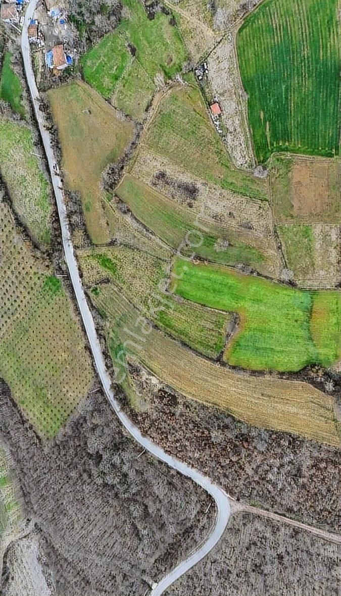 Kocaeli Yusufça Köyü Fırsat Arsa