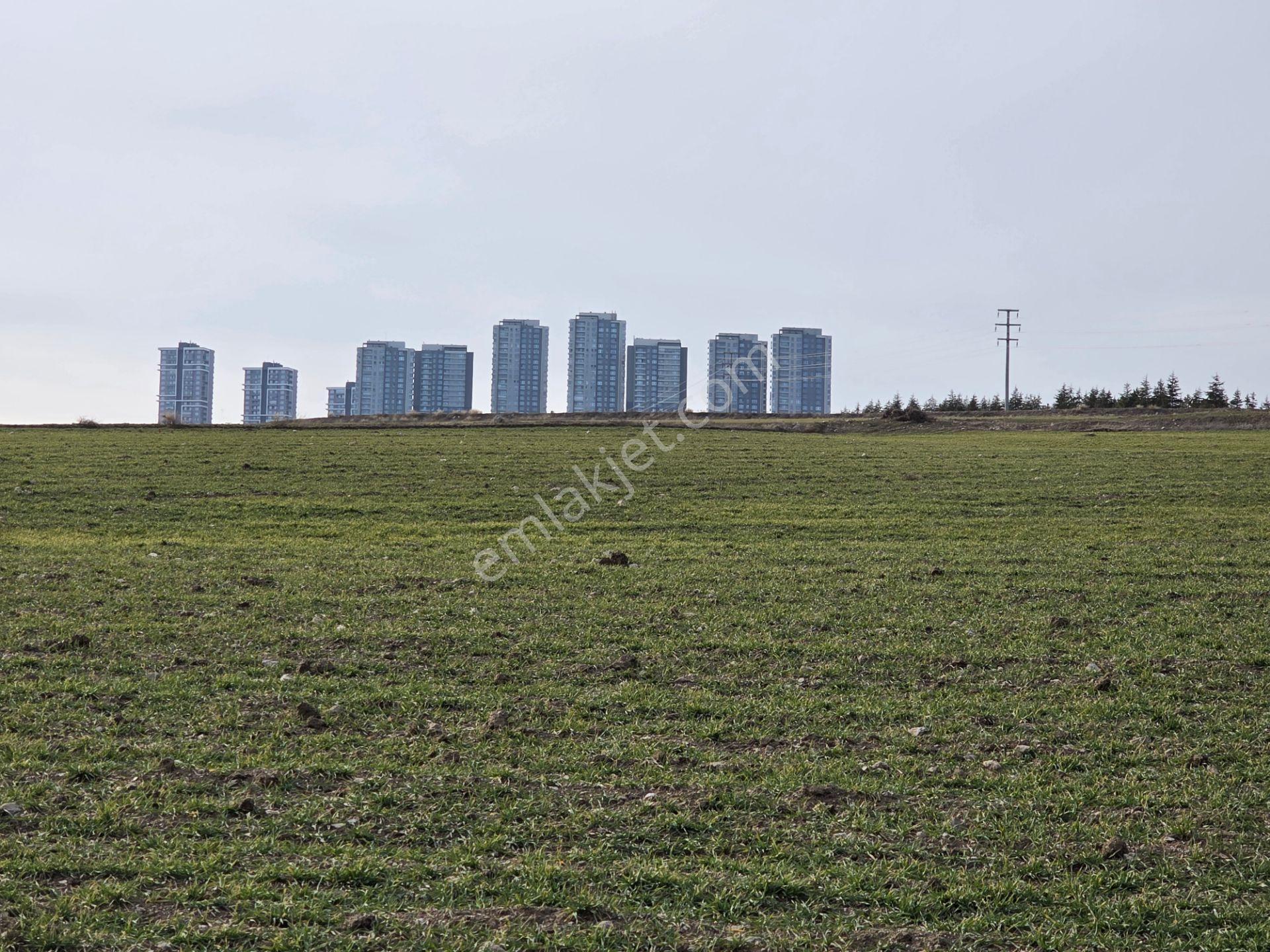 Ankara Gölbaşı Hacılar ' Da; Aplikasyonu Yapılmış 15,455,56m² Tarla 15.455,56 M2 - Görsel 20
