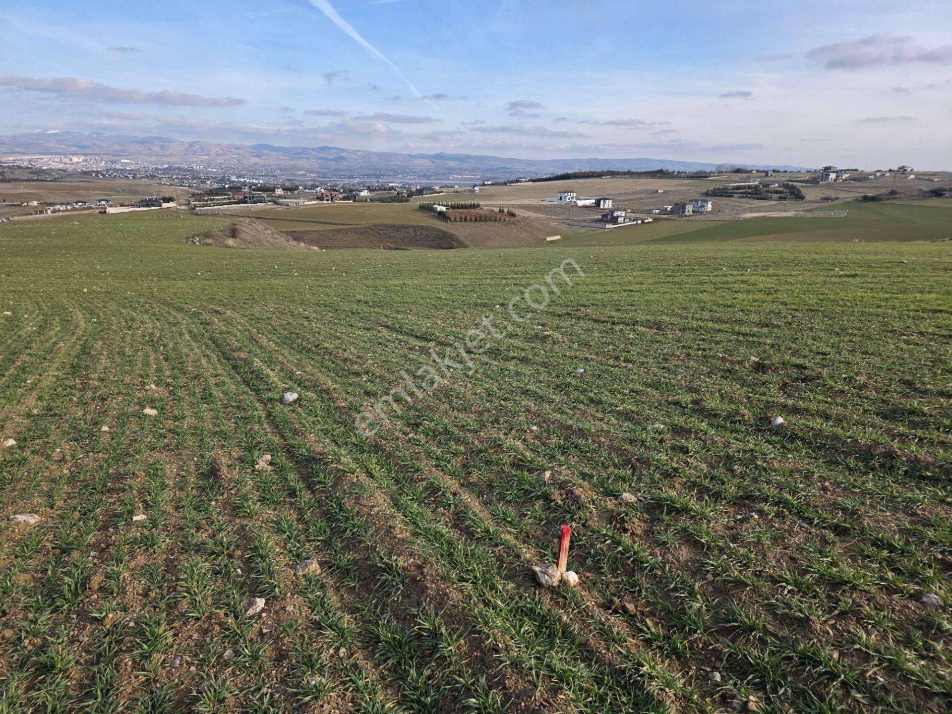Ankara Gölbaşı Hacılar ' Da; Aplikasyonu Yapılmış 15,455,56m² Tarla 15.455,56 M2 - Görsel 17