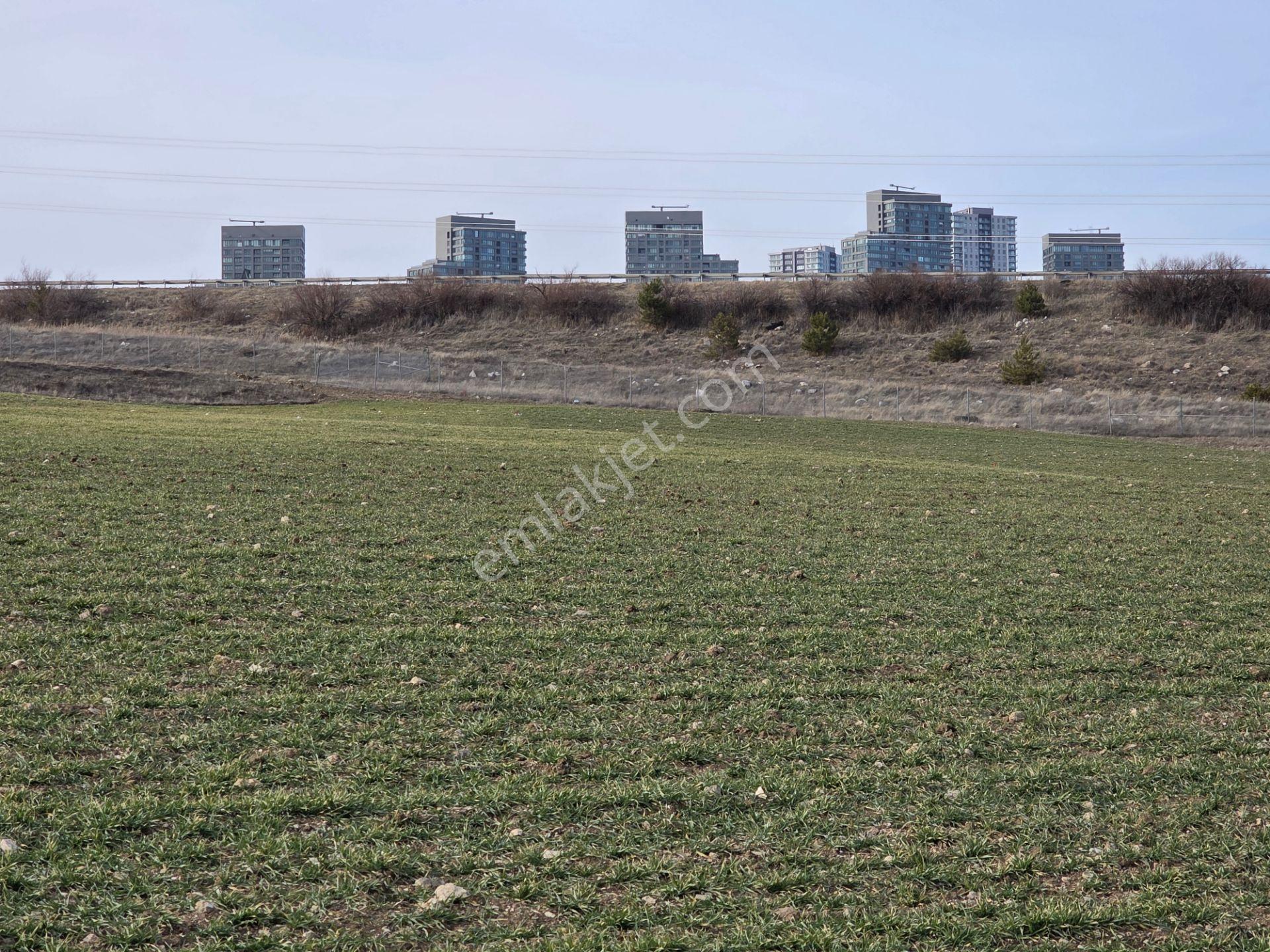 Ankara Gölbaşı Hacılar ' Da; Aplikasyonu Yapılmış 15,455,56m² Tarla 15.455,56 M2 - Görsel 21