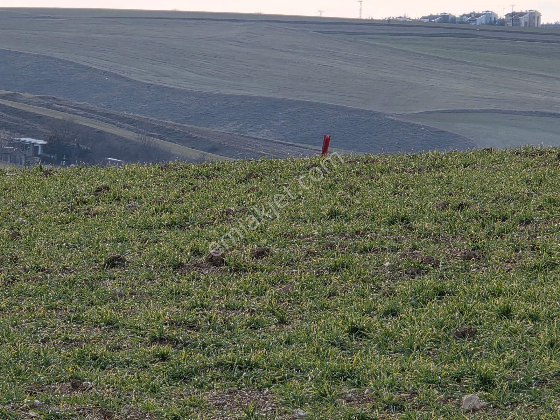 Ankara Gölbaşı Hacılar ' Da; Aplikasyonu Yapılmış 15,455,56m² Tarla 15.455,56 M2 - Görsel 24