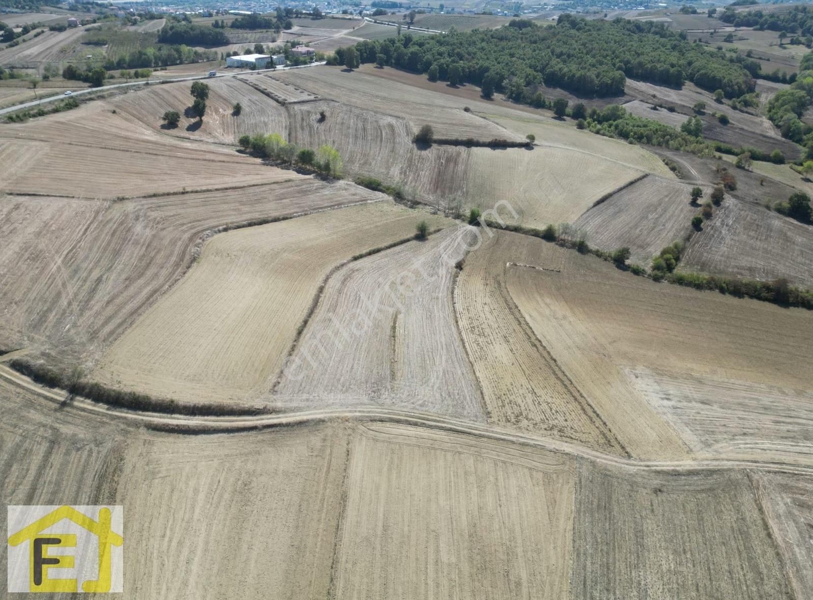 Sakarya Kaynarca Duduköy'de 3.500 M2 Satılık Arazi - Görsel 3