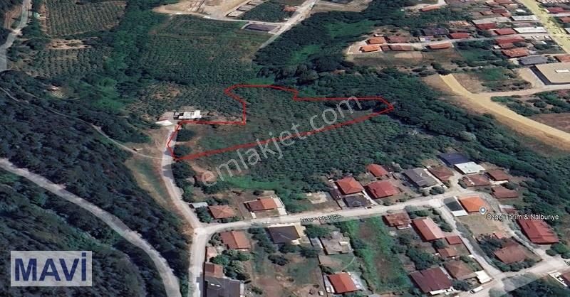 Re/max Mavi Güvencesiyle Arifiye Cumhuriyet Mah. 8796 M² Arazi - Görsel 3