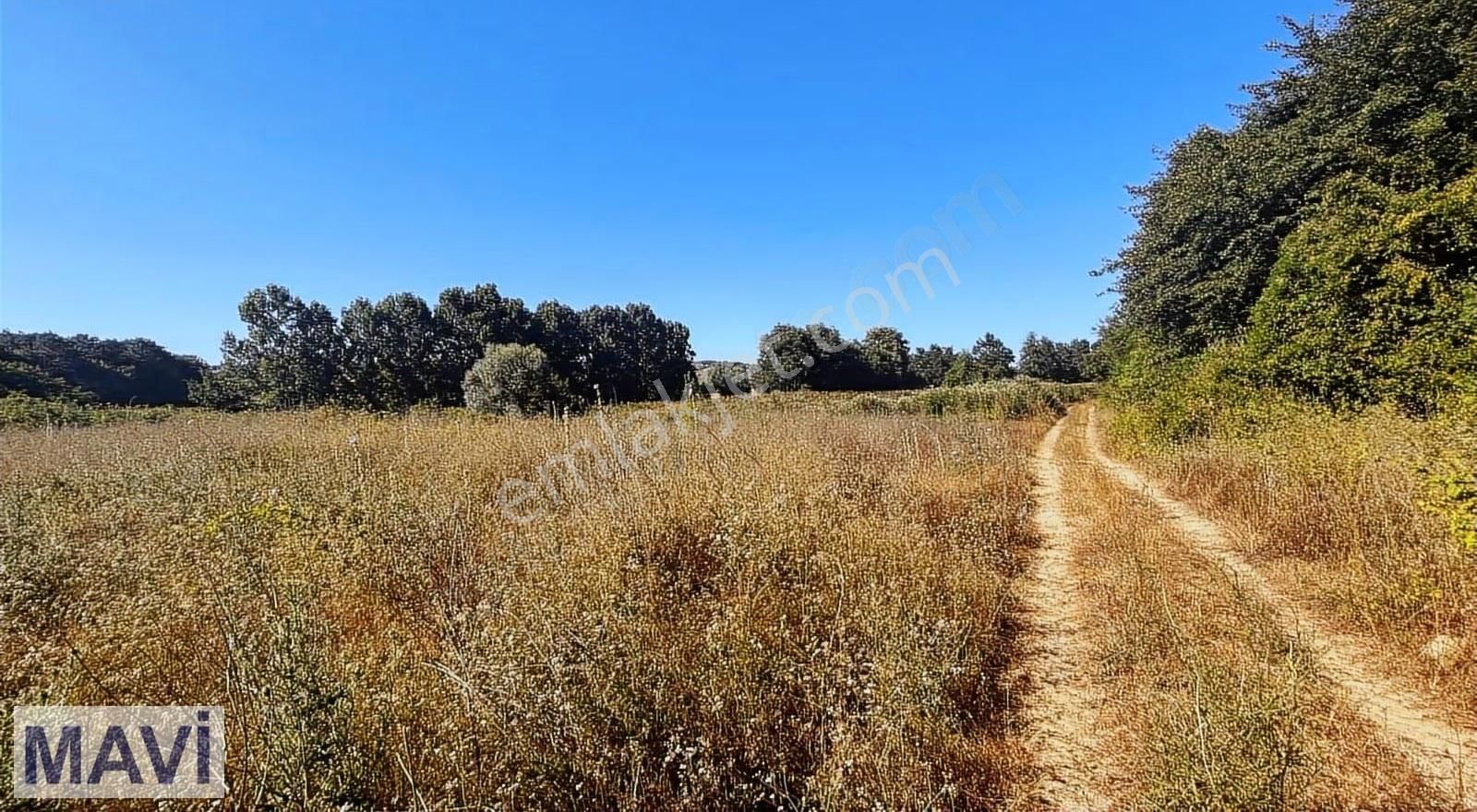 Remax Maviden İzmit Yenicede 583 M² Yatırımlık Tarla - Görsel 25