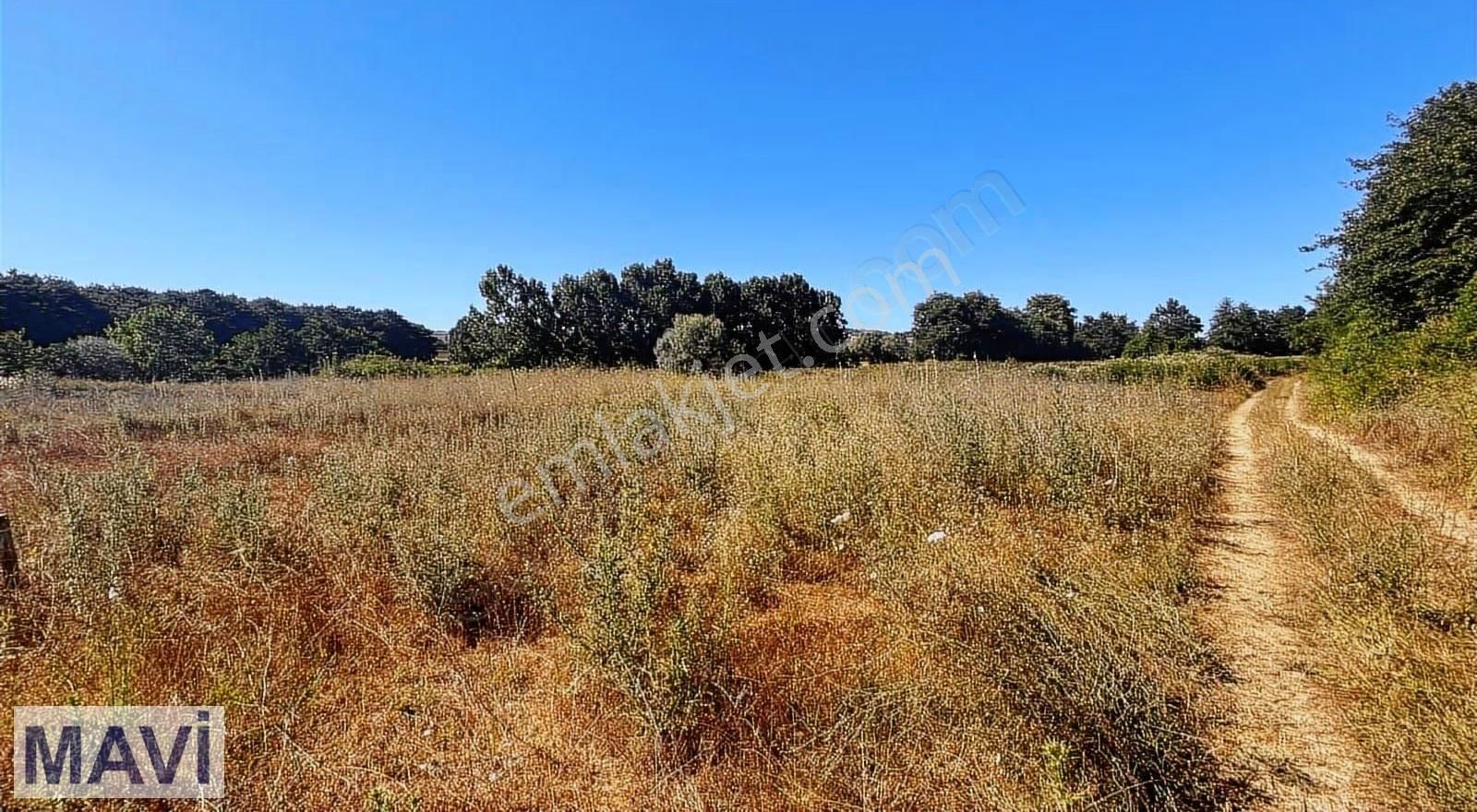 Remax Maviden İzmit Yenicede 583 M² Yatırımlık Tarla - Görsel 23