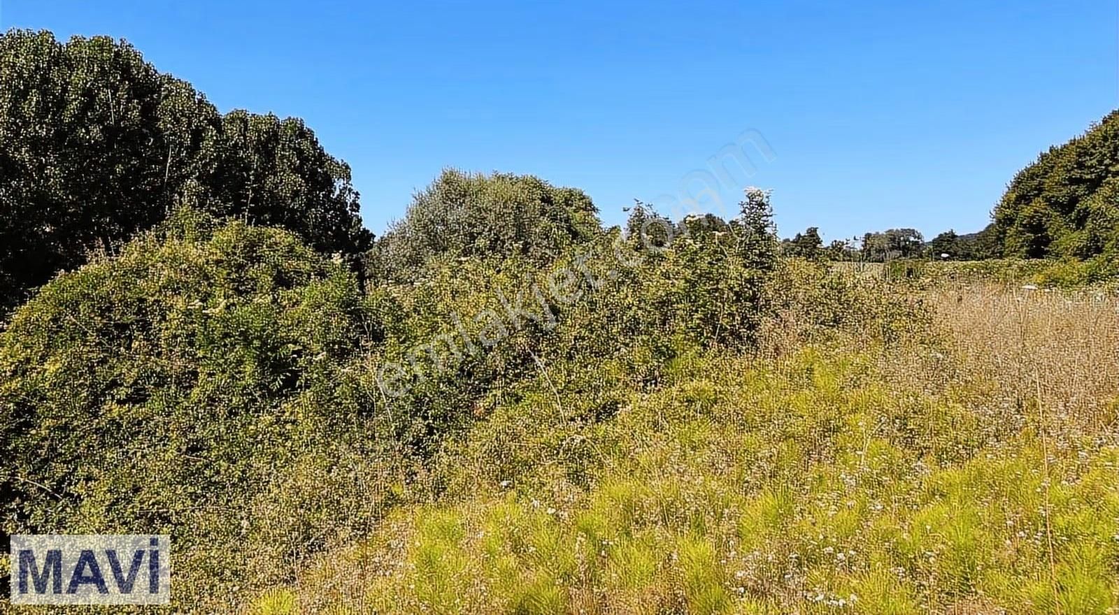 Remax Maviden İzmit Yenicede 583 M² Yatırımlık Tarla - Görsel 10