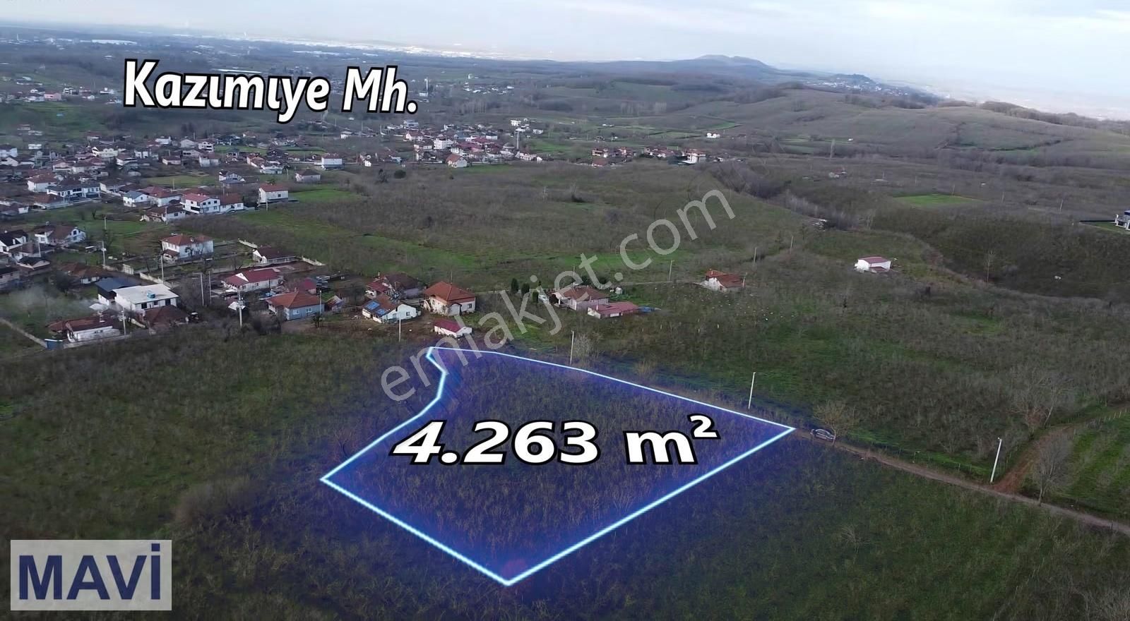 Kazımiyede İmar Sınırında 4.263 M² Satılık Fındık Bahçesi - Görsel 9