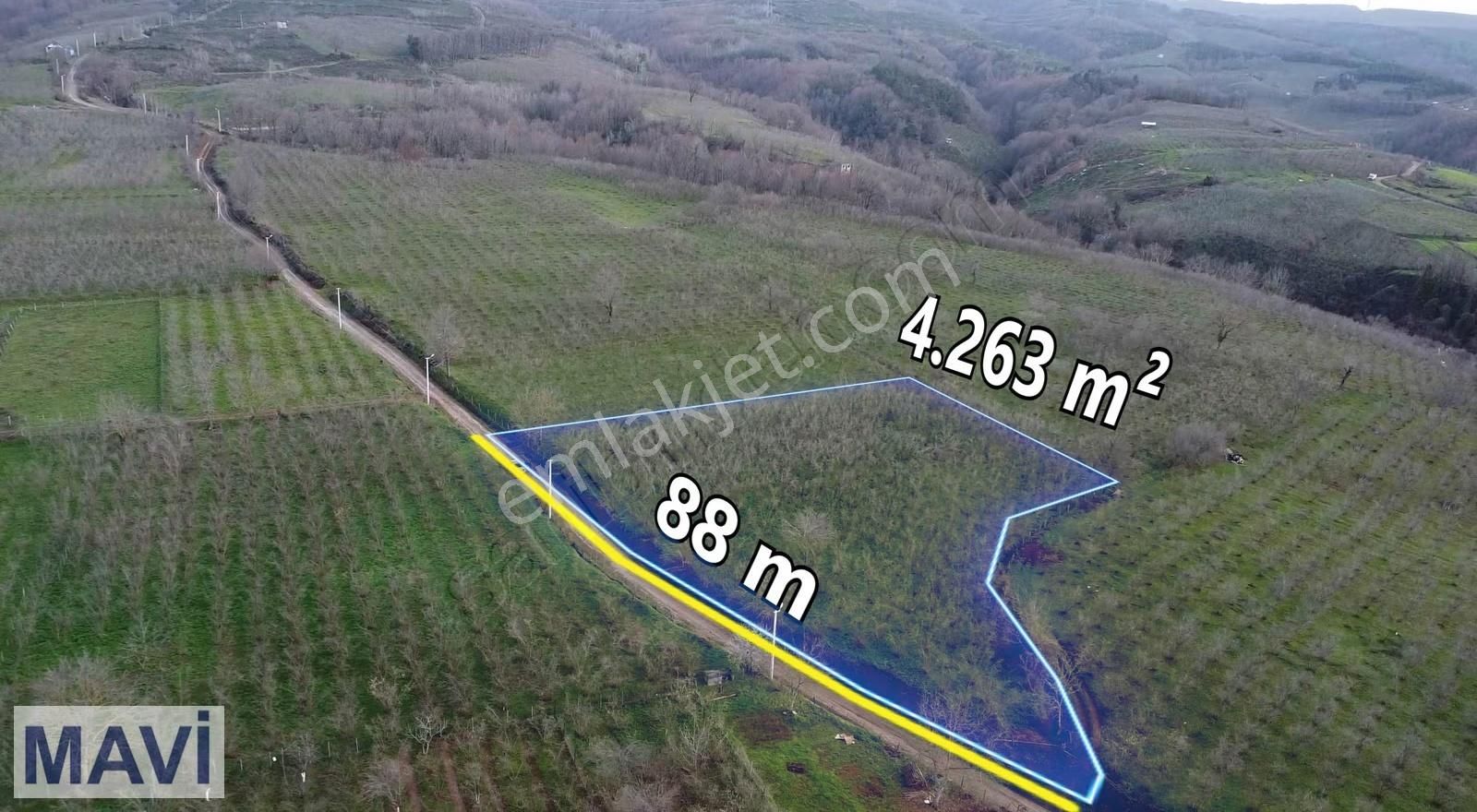 Kazımiyede İmar Sınırında 4.263 M² Satılık Fındık Bahçesi - Görsel 3