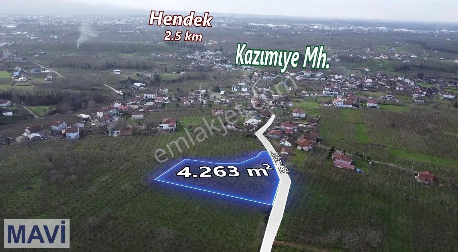 Kazımiyede İmar Sınırında 4.263 M² Satılık Fındık Bahçesi - Görsel 5